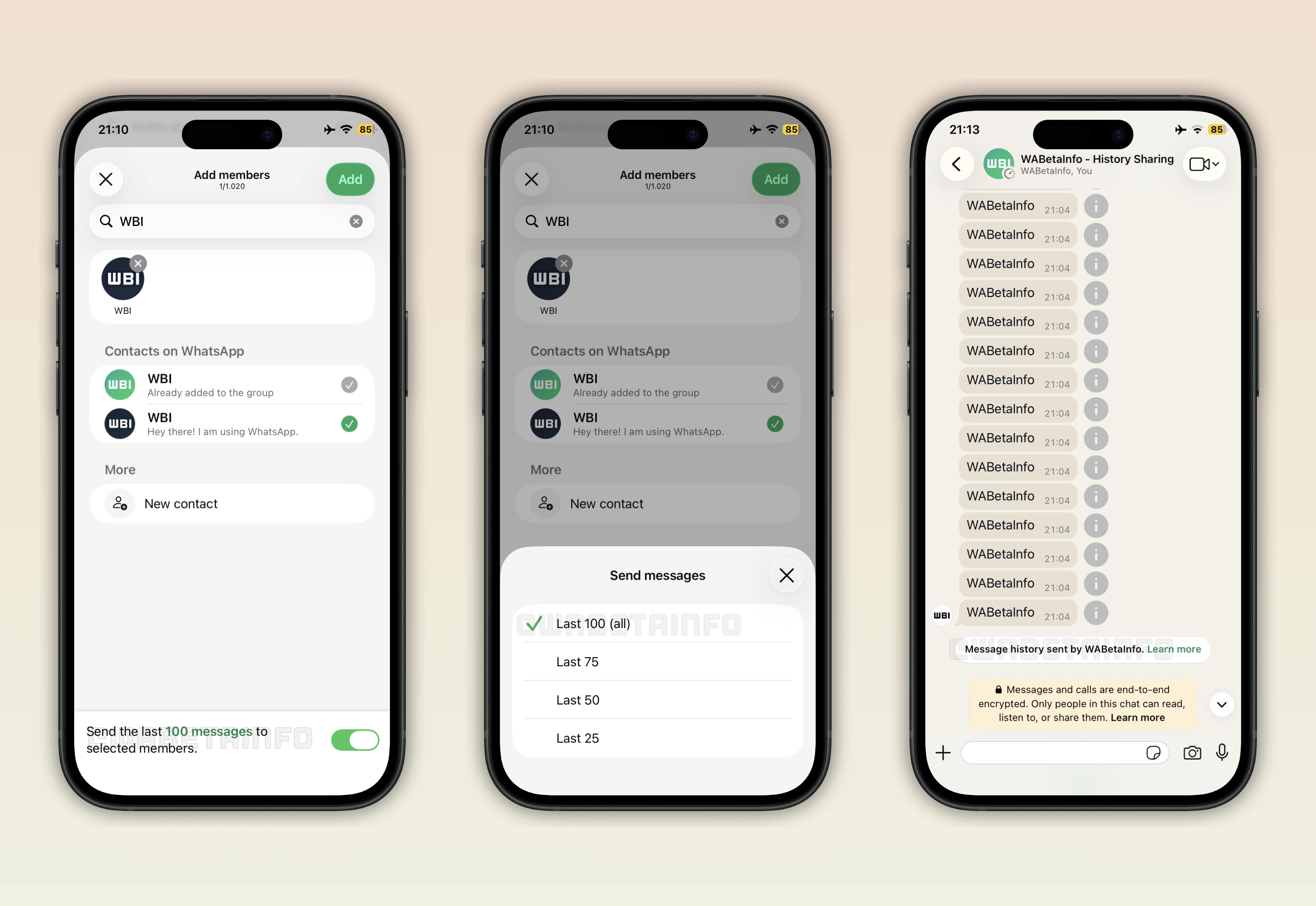 Screenshot that shows how to share chat history with new group members on WhatsApp beta for iOS