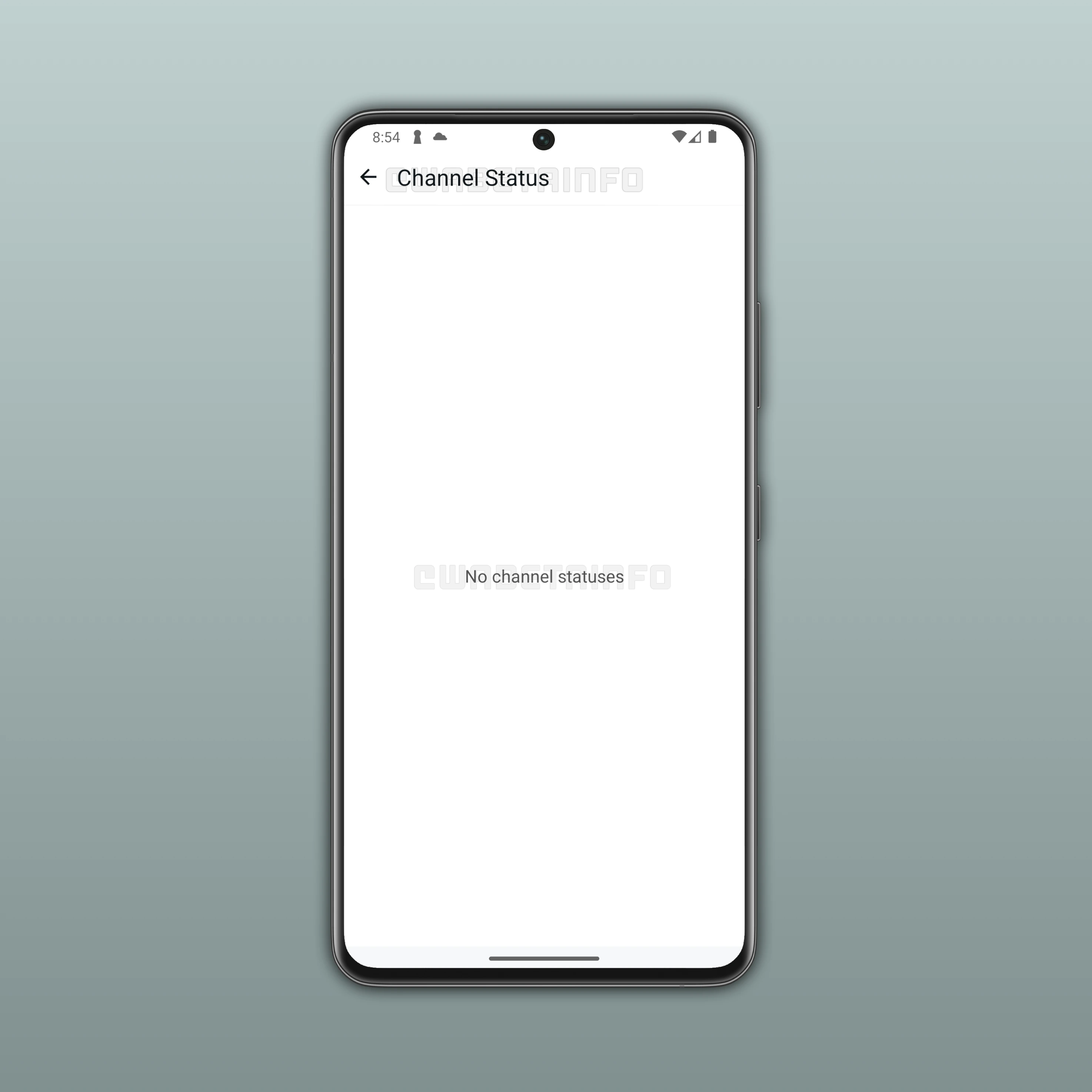 Image showing a feature that lets users share status updates in their channels on WhatsApp beta for Android