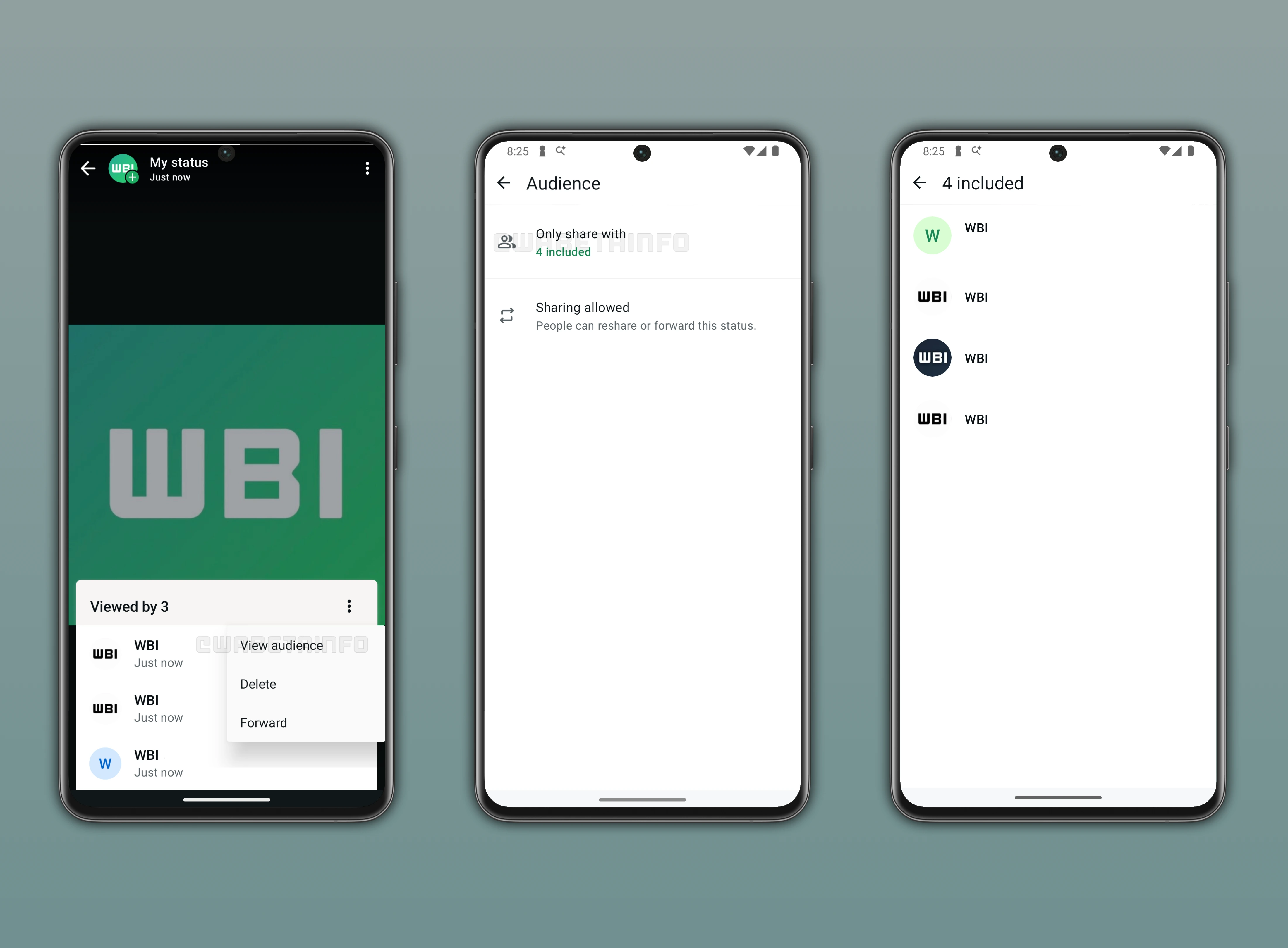 Screenshot showing how to view privacy settings applied to status updates on WhatsApp beta for Android