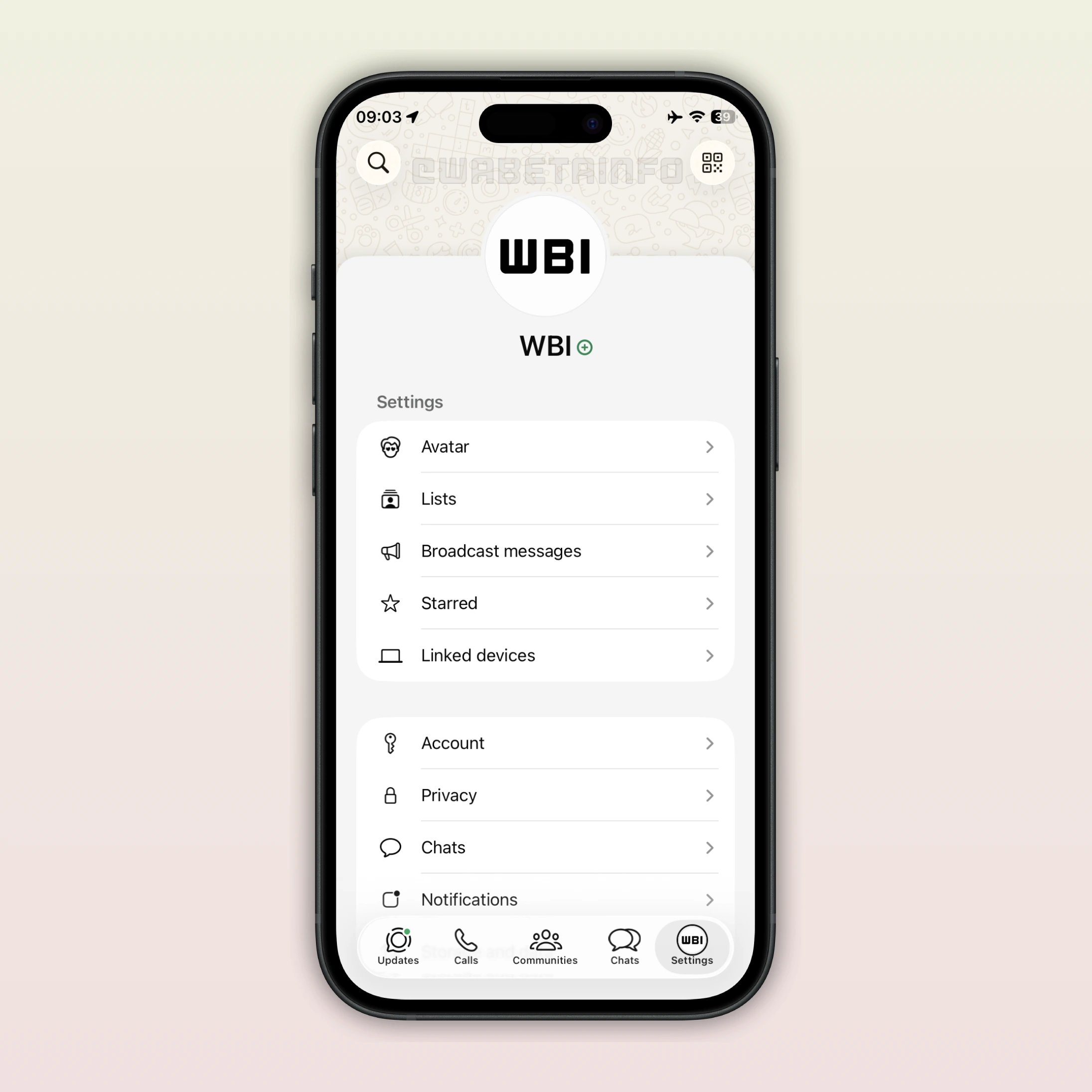 Image showing a redesigned settings page on WhatsApp beta for iOS