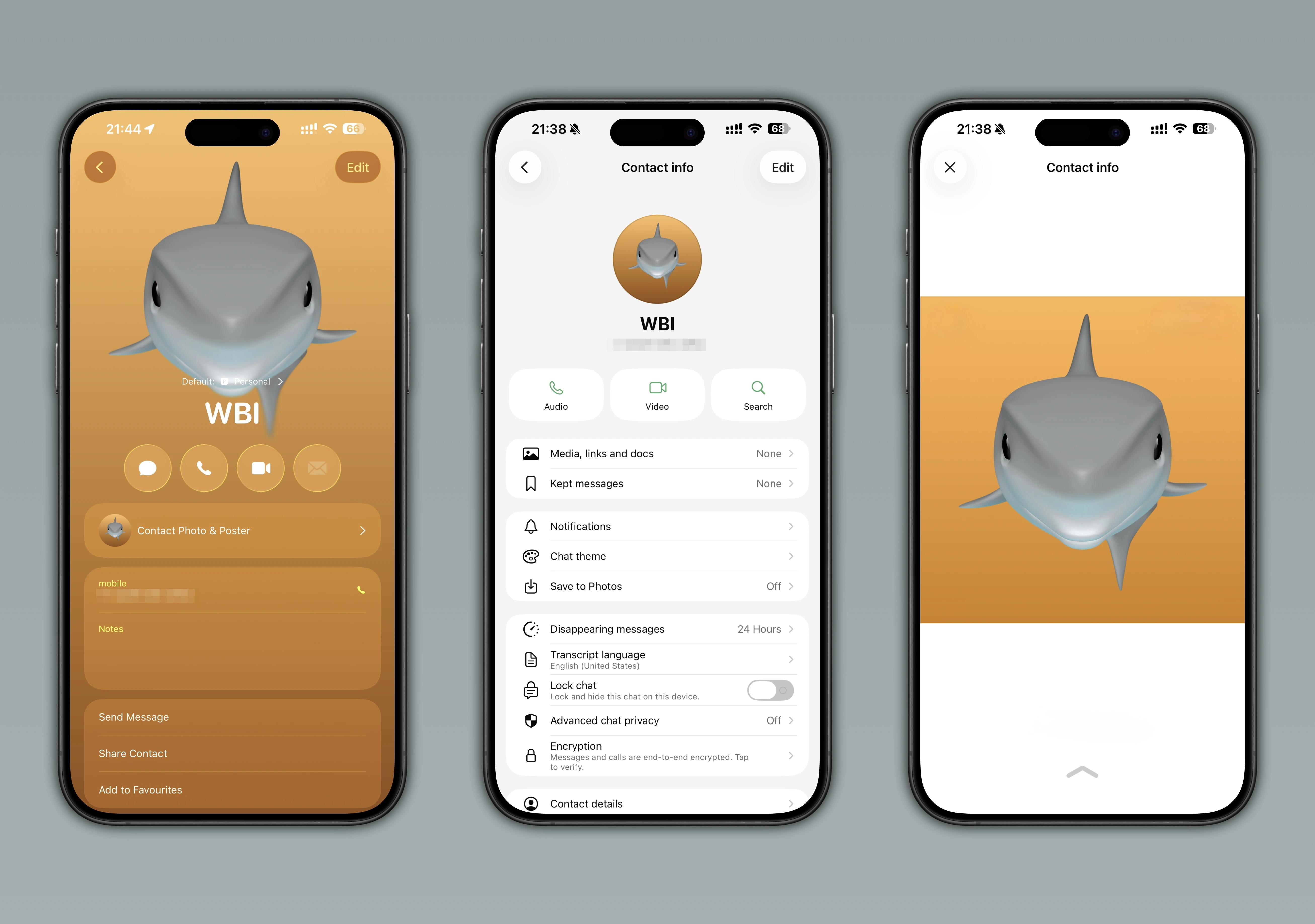 The image highlights a feature that displays the profile photo saved in the address book on WhatsApp beta for iOS