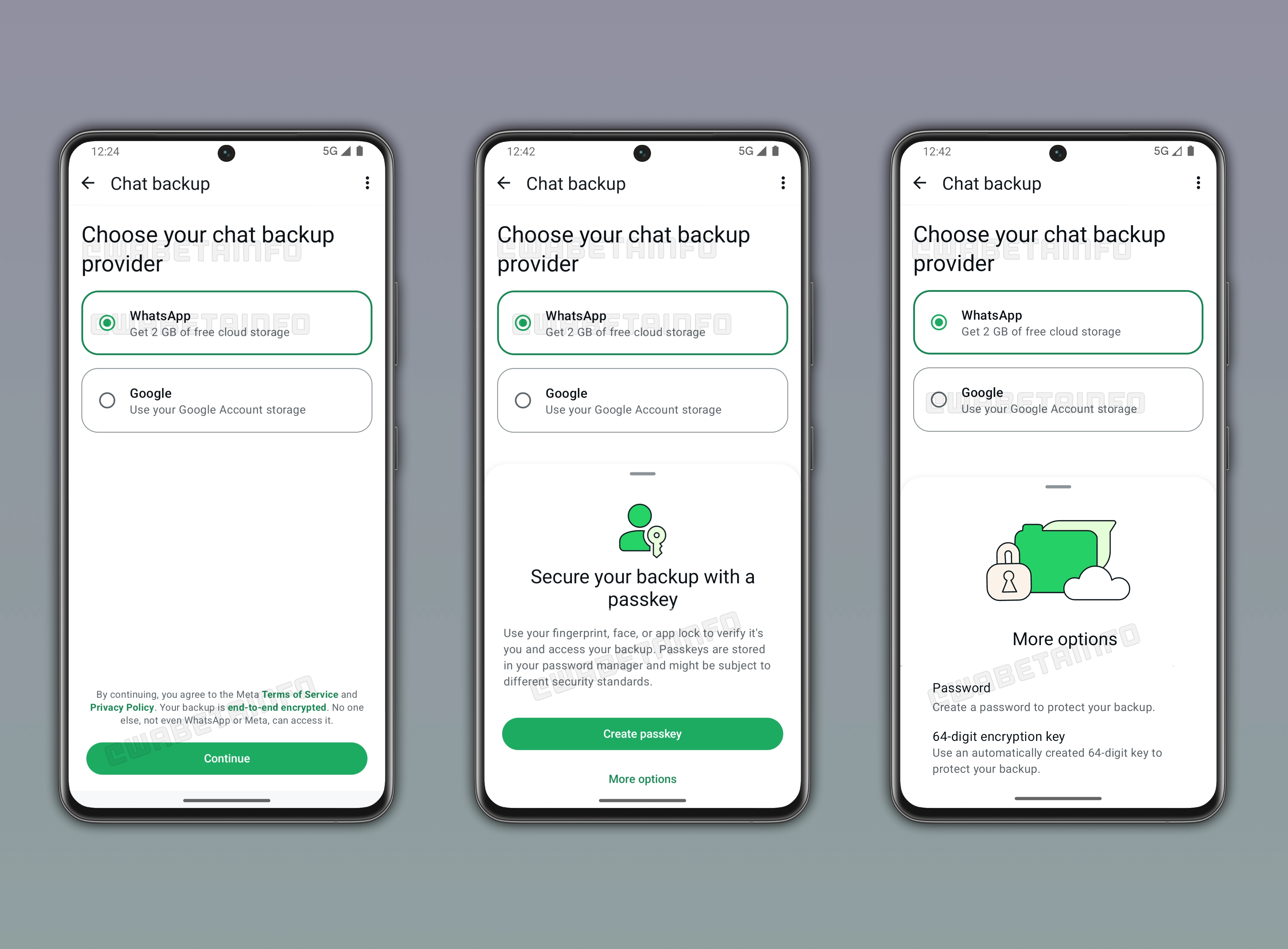 The image shows a feature that lets users choose WhatsApp as their cloud backup provider on WhatsApp beta for Android