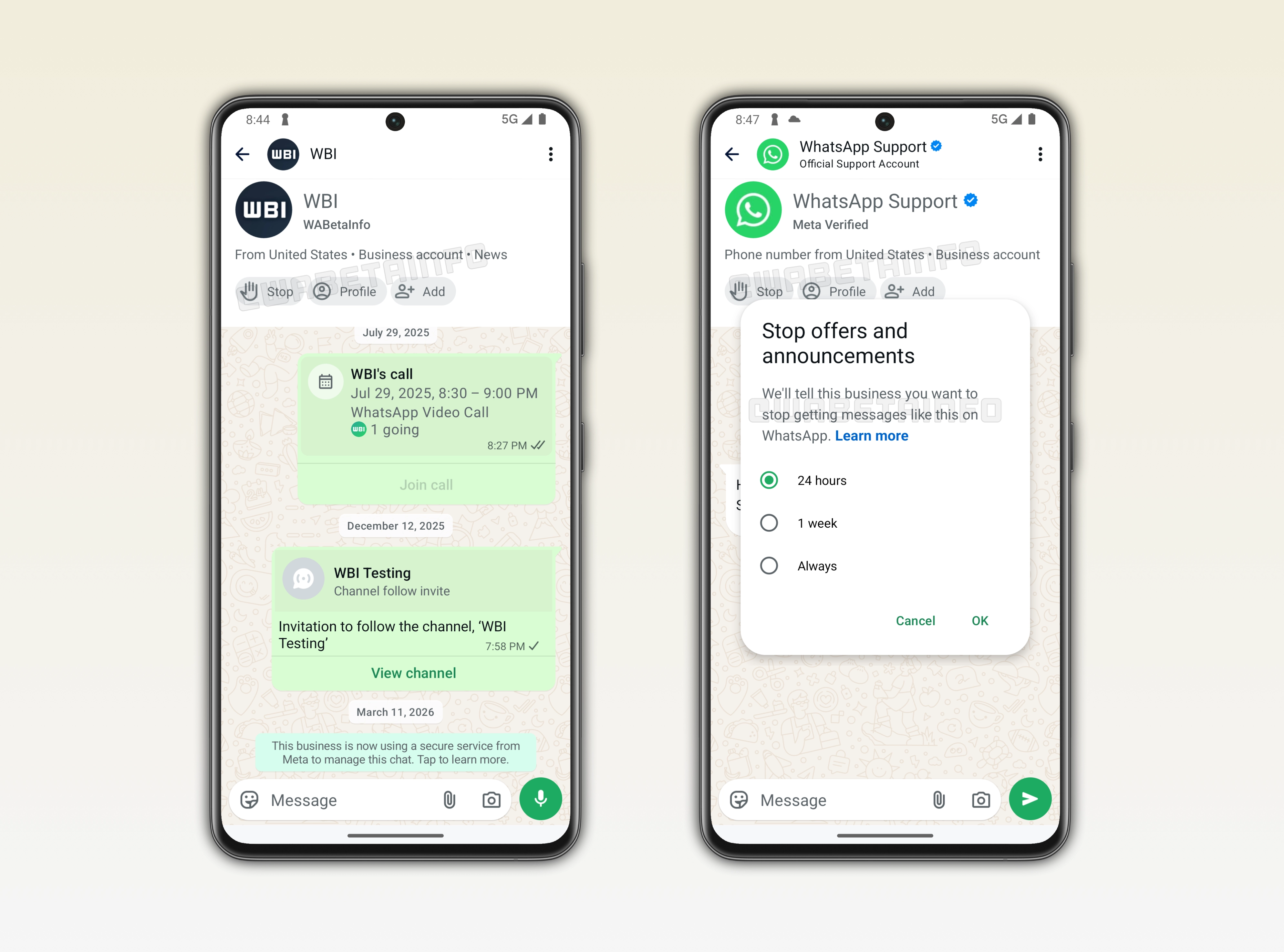 The image shows a feature that lets users manage and block interactions with business accounts on WhatsApp beta for Android