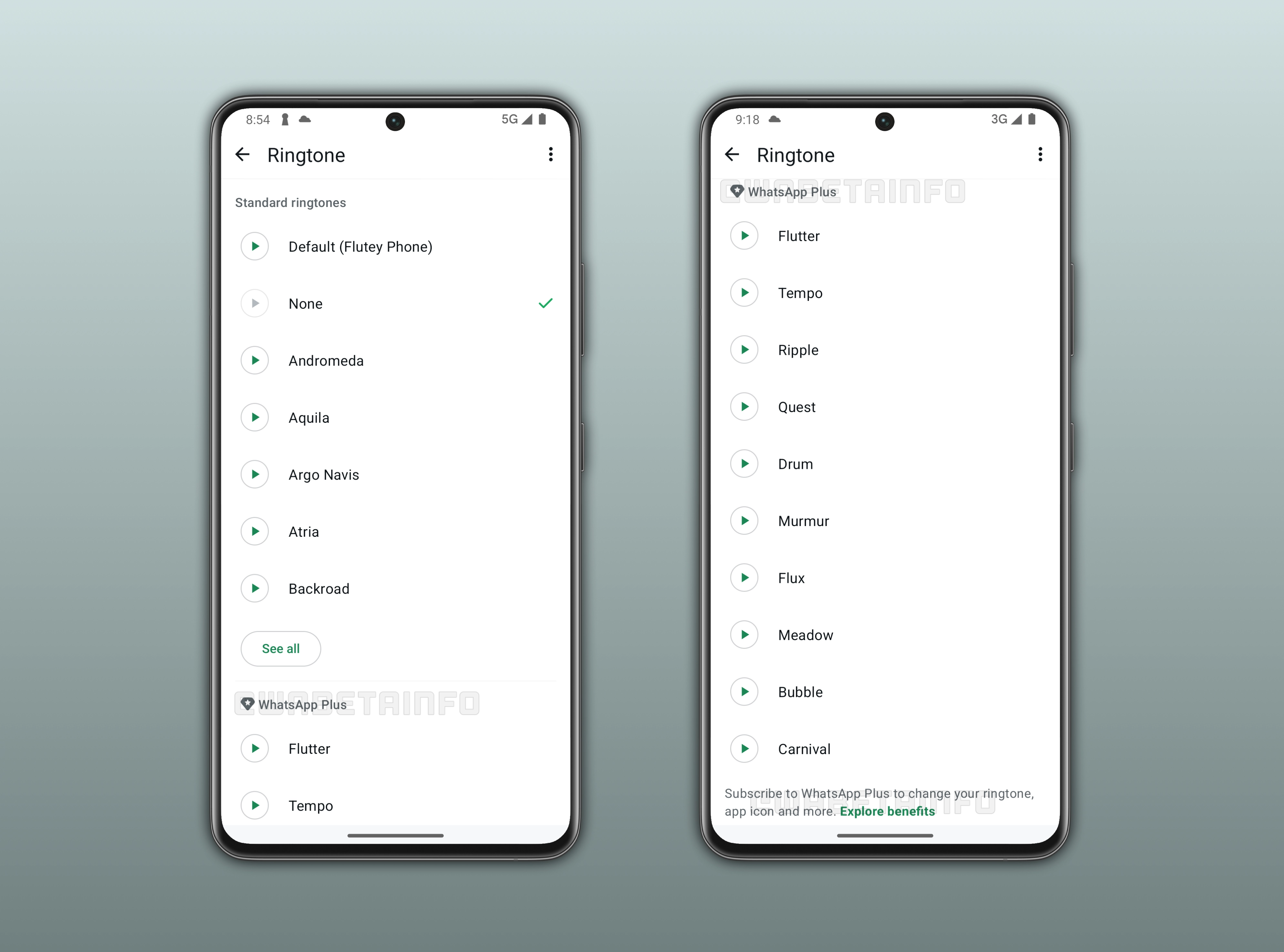 Users can choose up to 10 new ringtones for their chats by subscribing to the premium plan