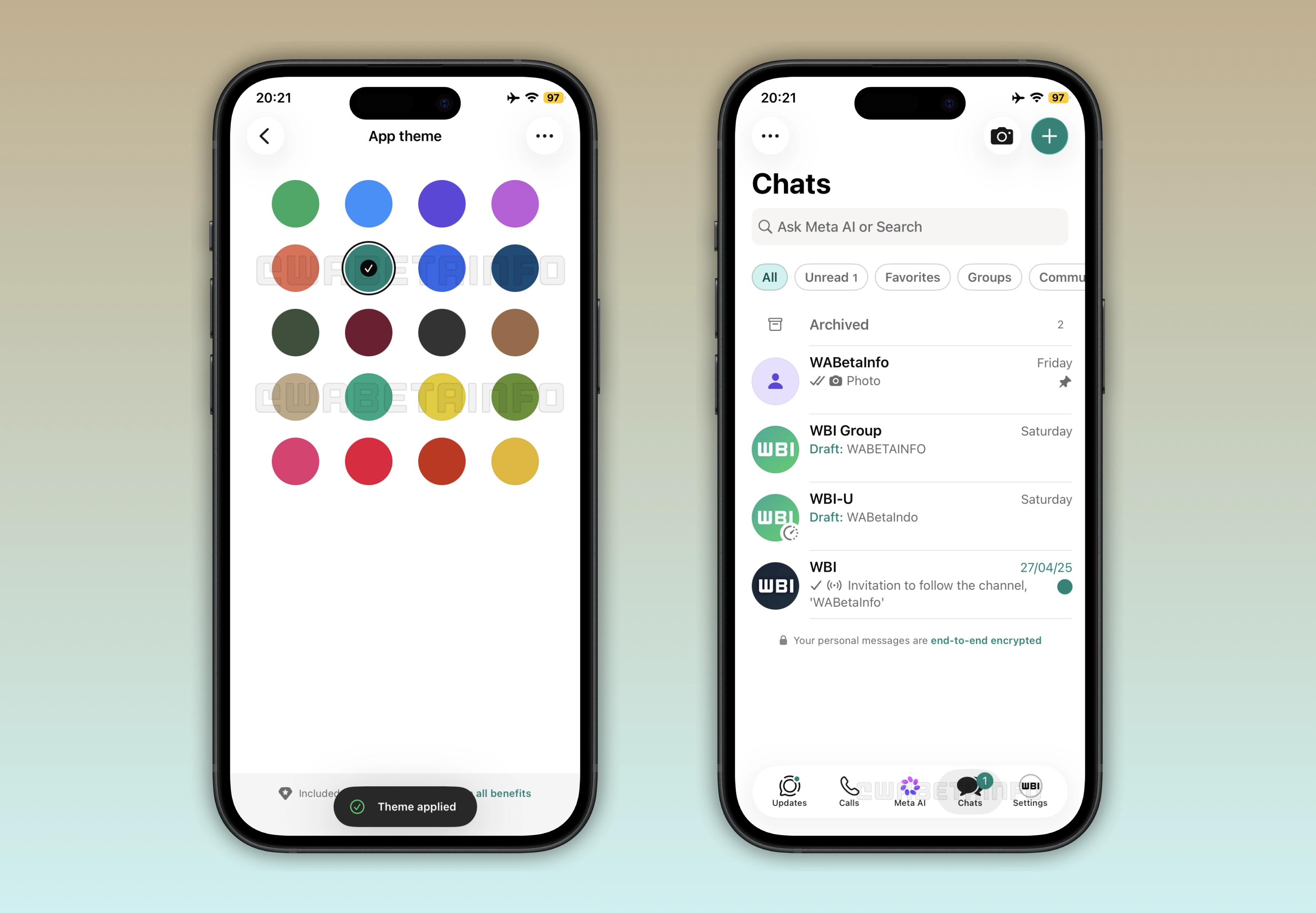 The premium plan allows users to change the theme of the app