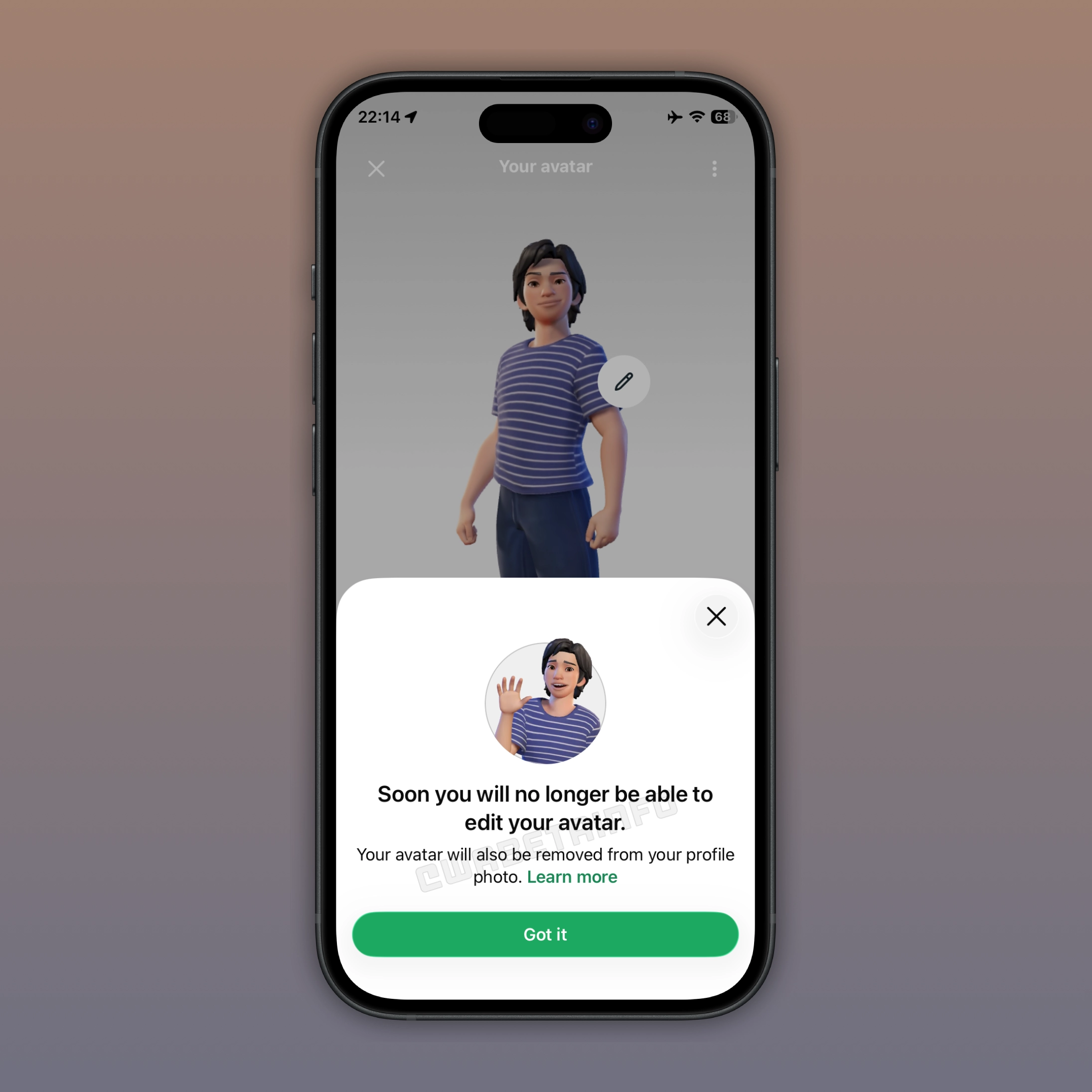 The image shows that the avatar feature will no longer be supported