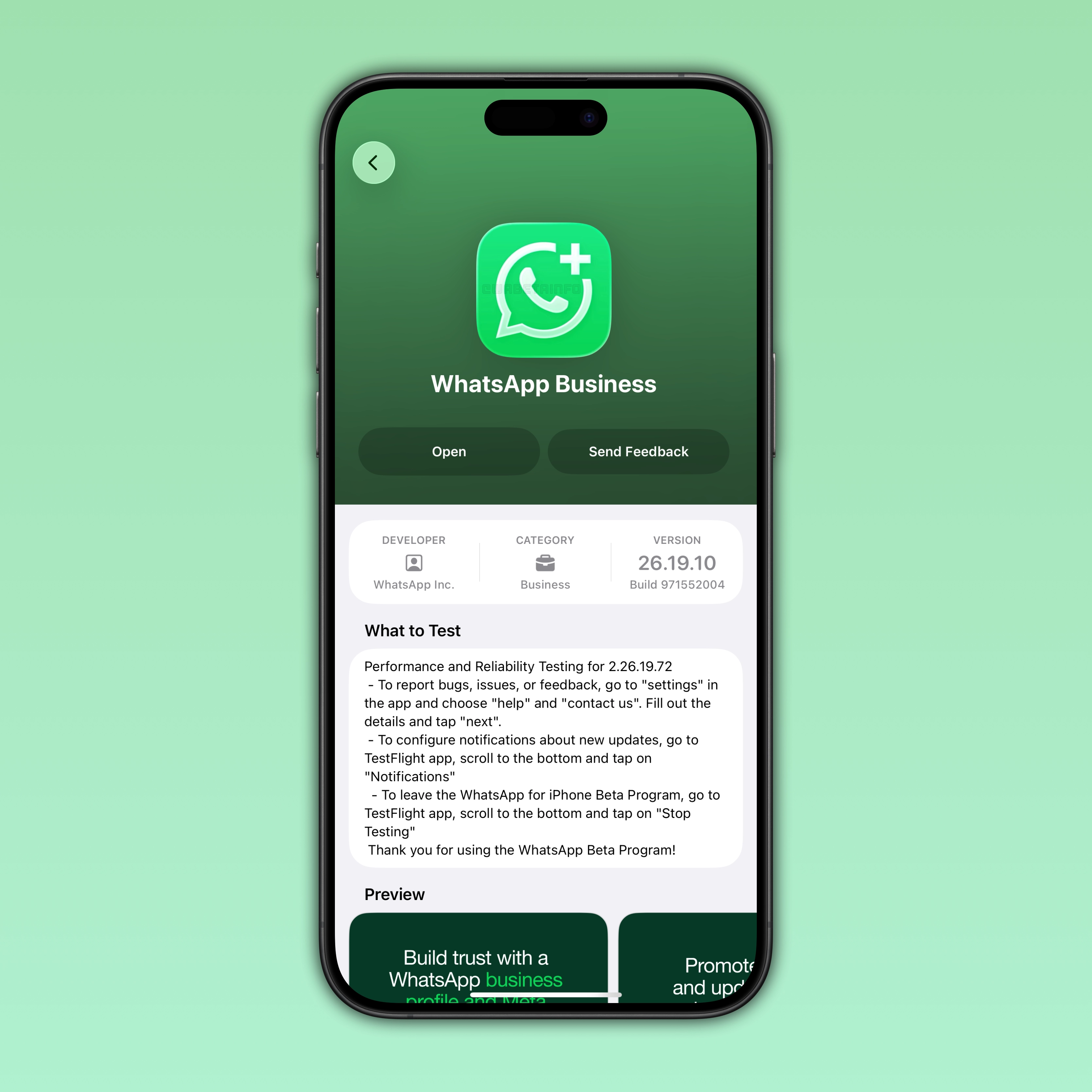 The image shows the new icon for the WhatsApp Business app for iOS