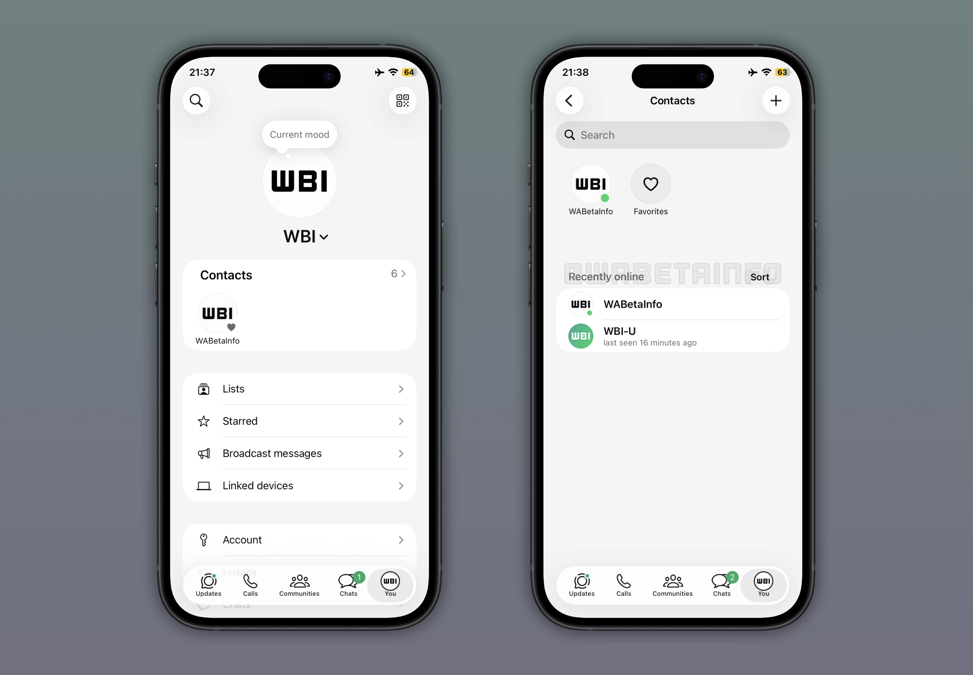 The image shows a feature that allows users to check a list of online contacts on WhatsApp beta for iOS