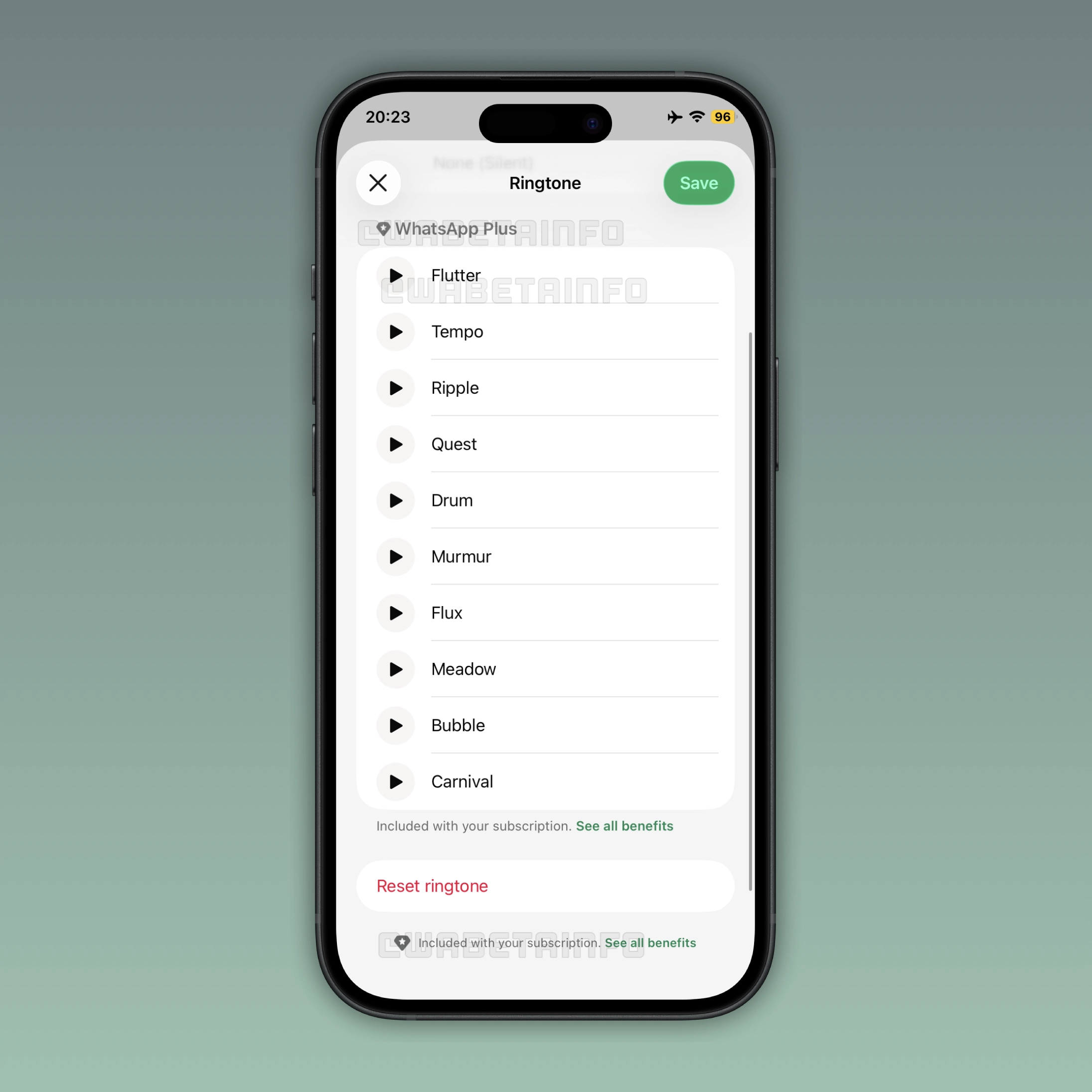Users can choose up to 10 new ringtones for their chats by subscribing to the premium plan