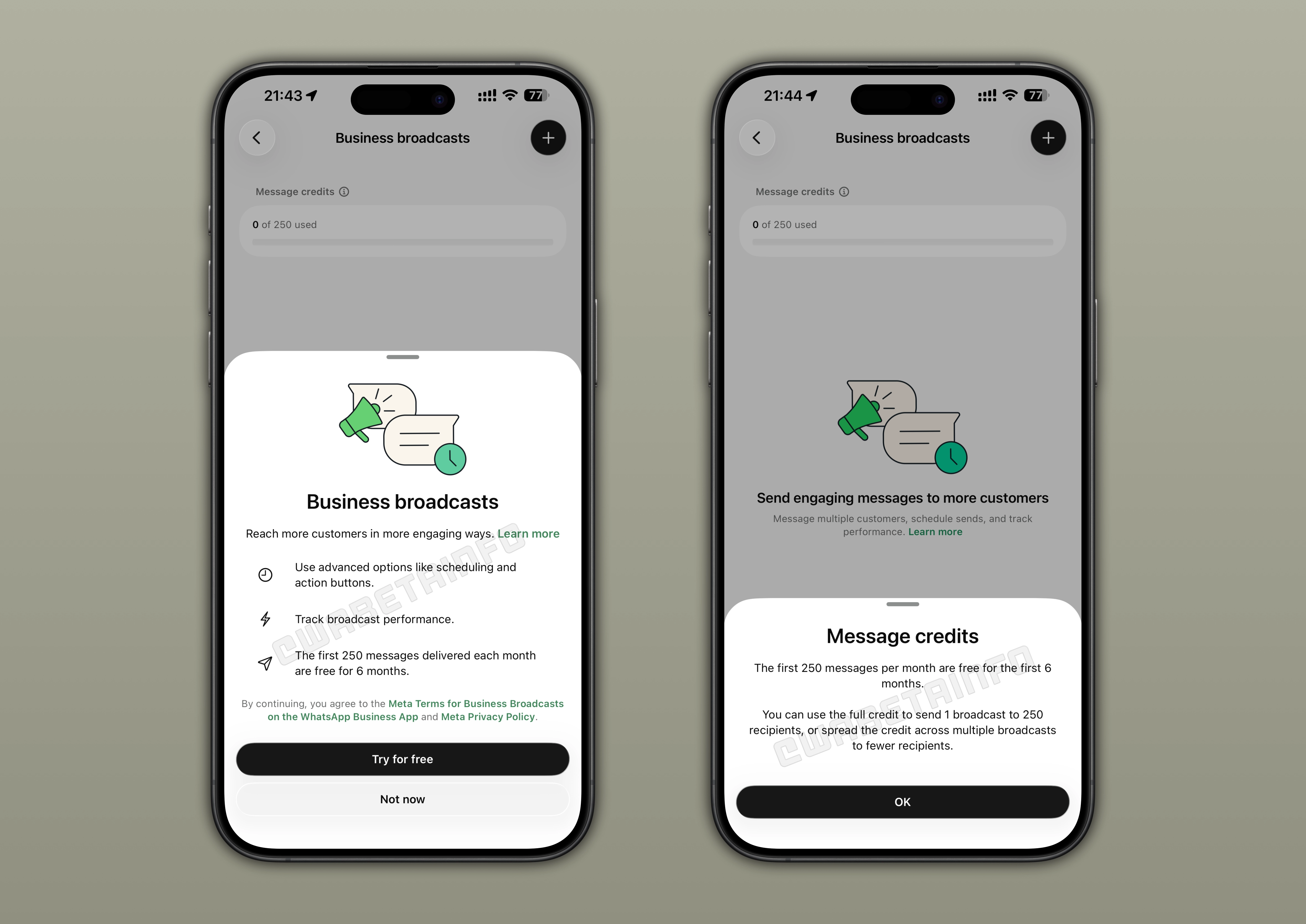 The image shows Business Broadcast, the new section where users can check their broadcast message usage on WhatsApp for iOS