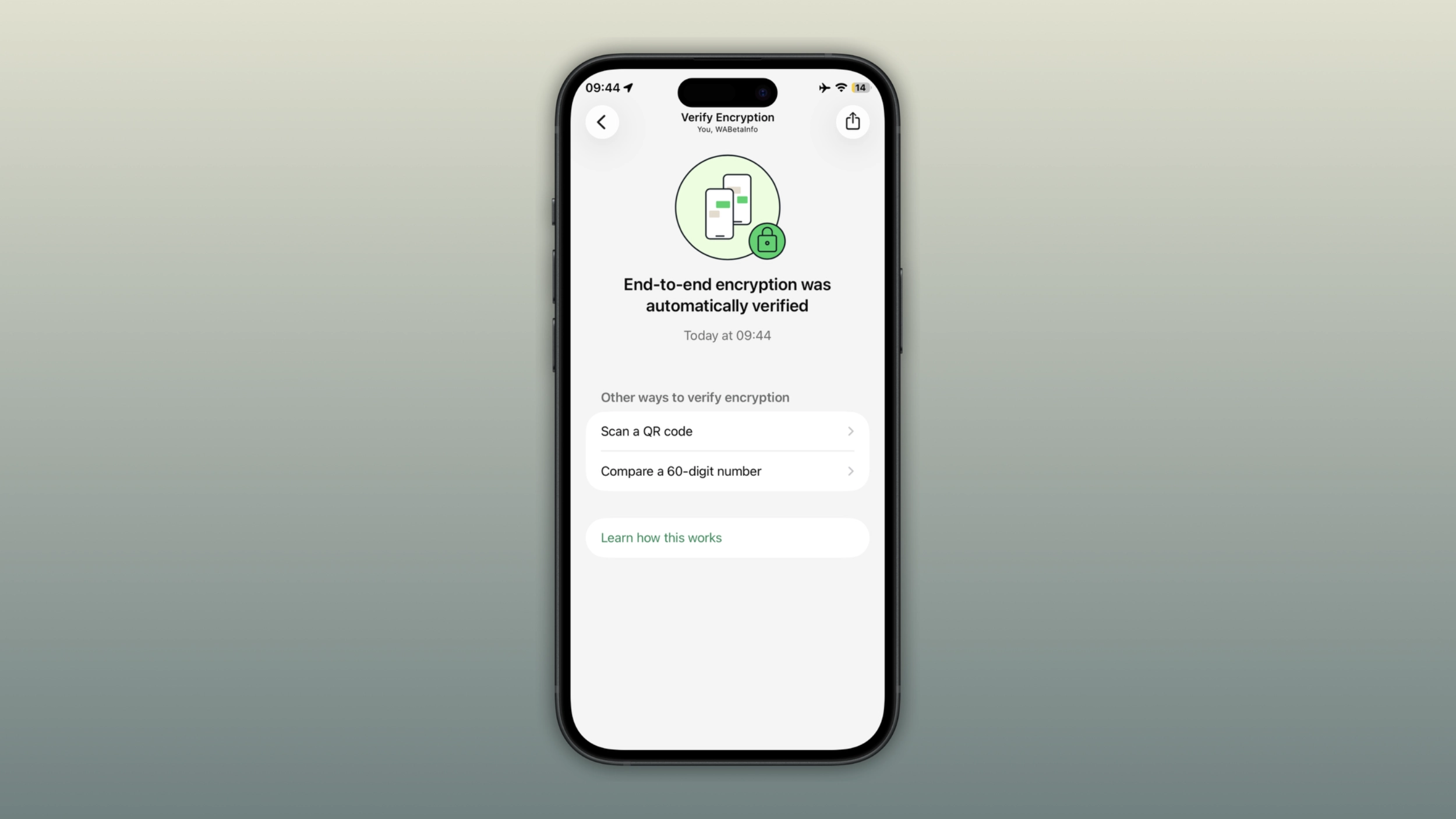 The image shows a feature that lets users verify end-to-end encryption automatically