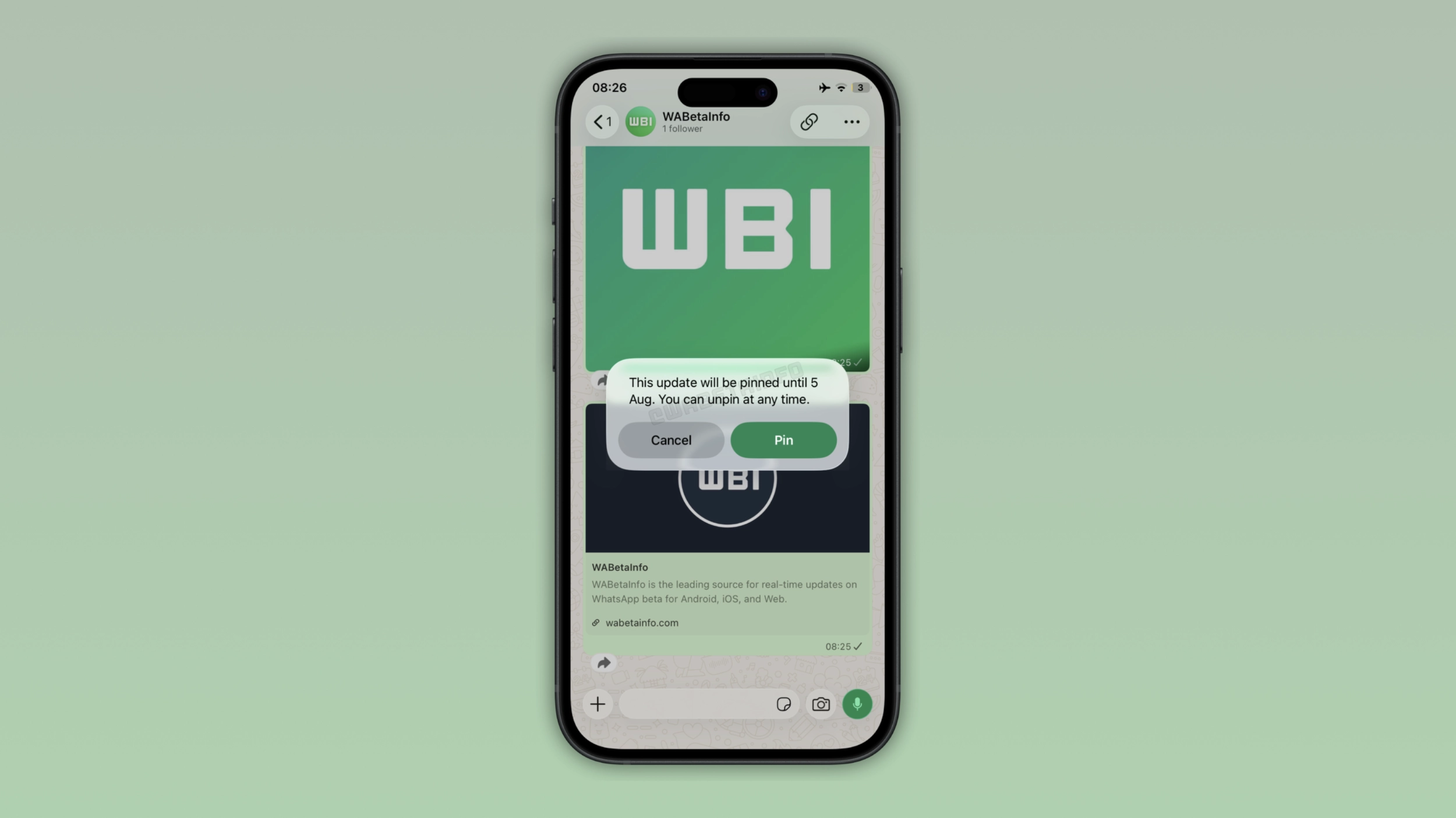 The image shows the option to pin a channel update on WhatsApp for iOS