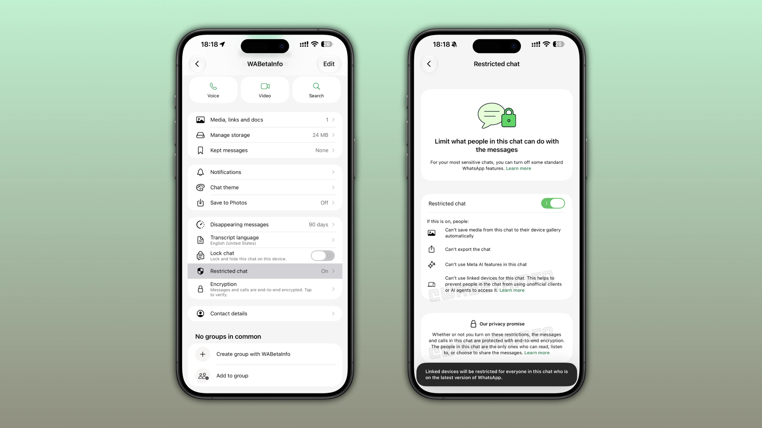 The image shows the Restricted Chat feature on WhatsApp for iOS